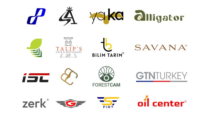 fikirlerim ve kendi çizgilerimle logonuzu oluşturabilirim