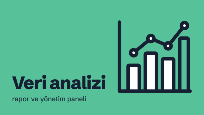 verilerinizi analiz eder, rapor ve panel hazırlarım