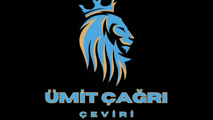 sizler için 5 farklı dilde çeviri yapabilirim
