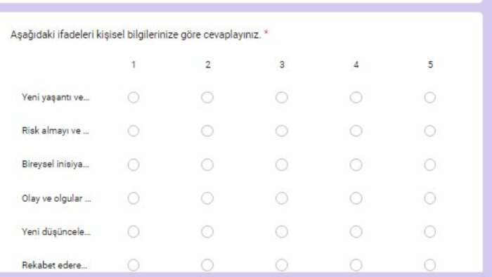  google forms üzerinden anket hazırlayabilirim