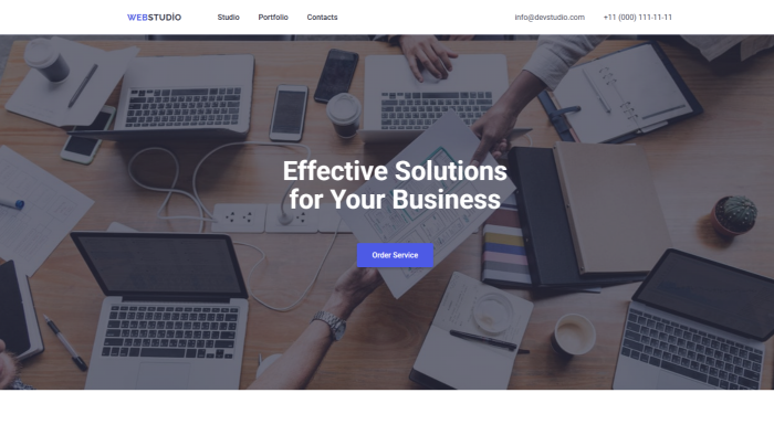 web sitesi hazırlayabilirim