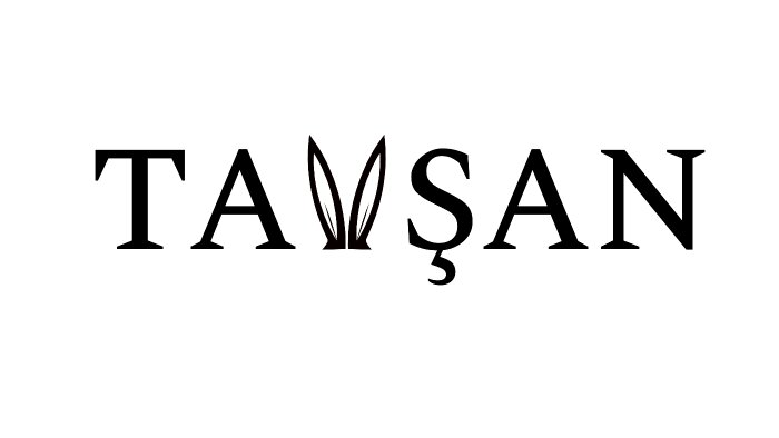 logo tasarımı yaparım