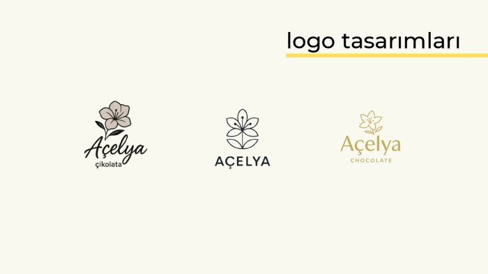 profesyonel, özgün ve modern logo tasarımı yapıyorum