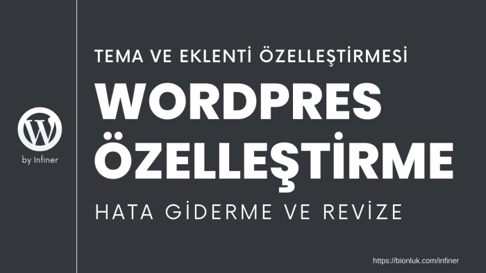 Wordpress sitenizi özelleştirir ve hataları gideririm