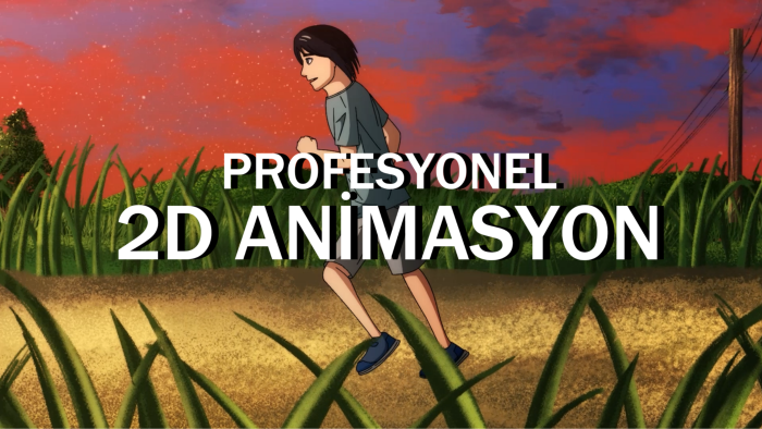 size profesyonel 2D animasyon yapabilirim