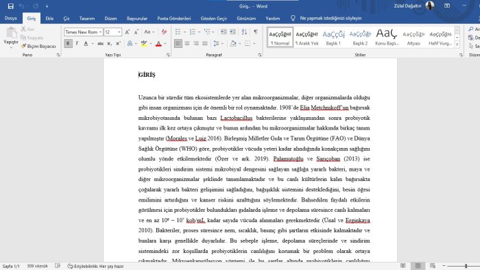 pdf'lerinizi word'e aktarabilirim