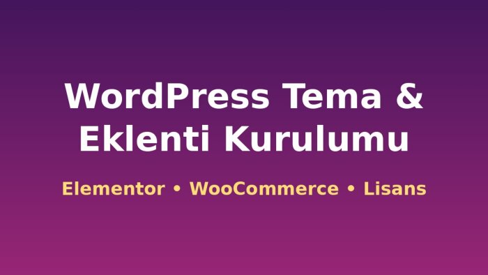 WordPress sitenize tema ve eklenti kurulumu yaparım