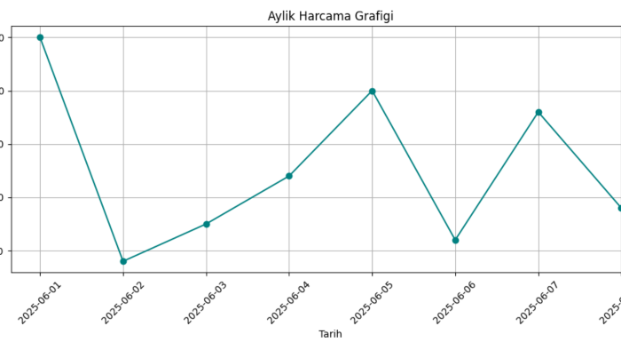  verinizi analiz edip grafiklerle anlamlı hale getiririm