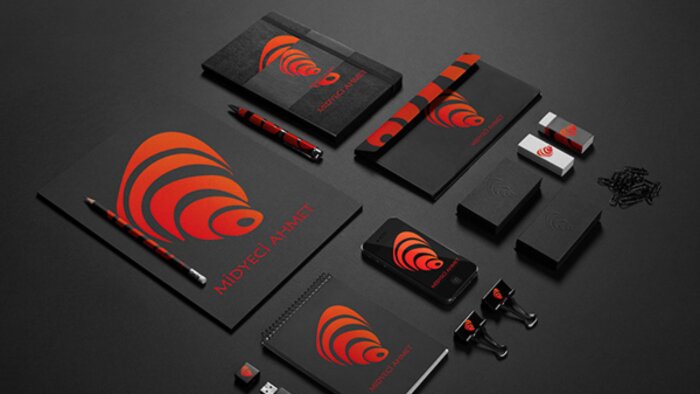 profesyonel ve özgün logo tasarlarım