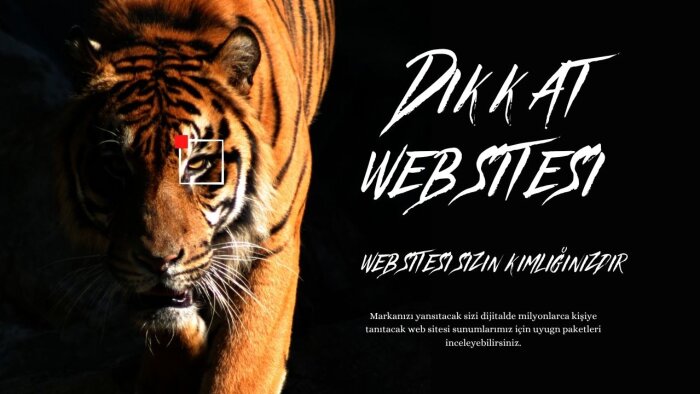 profesyonel websitesi tasarımı yapabilirim