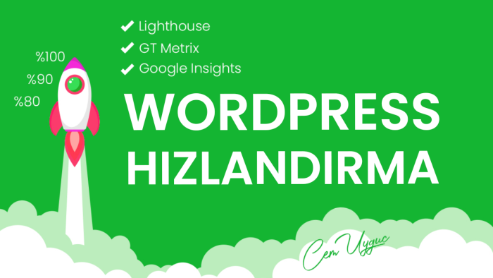 Wordpress sitenizi %100'e kadar hızlandırırım