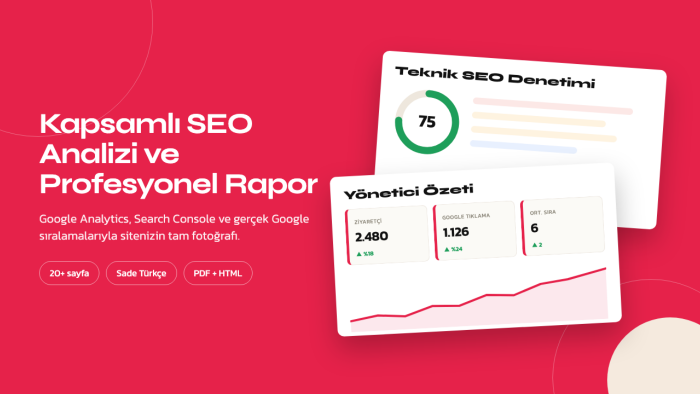 web sitenize kapsamlı SEO analizi ve PDF rapor hazırlarım