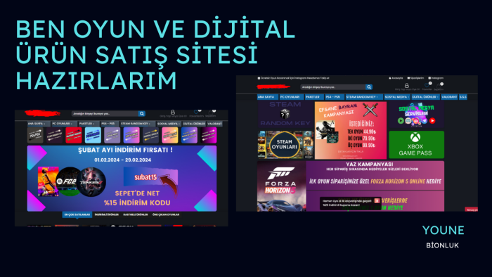 oyun satış sitesi yapabilirim