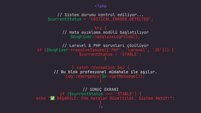 Web sitenizdeki hataları çözerim