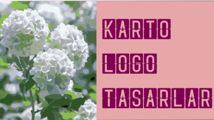 eğitim kurumu, şirket ve şahsi girişimlere logo tasarlıyorum