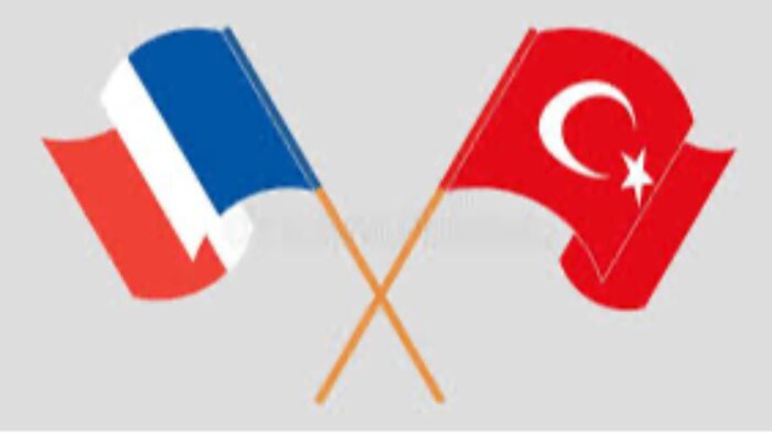 Türkçe ve Fransızca dilleri arasında çeviri yaparım