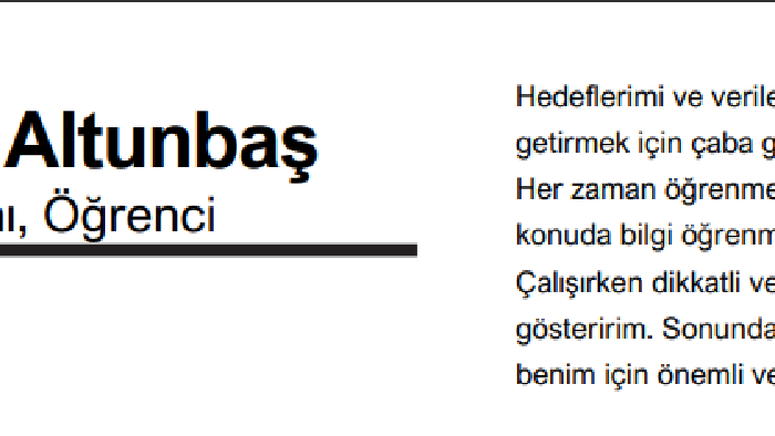 girmek istediğiniz iş için en uygun CV'nizi hazırlarım