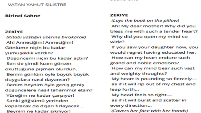 Türkçe senaryolarınızı profesyonelce İngilizceye çeviririm