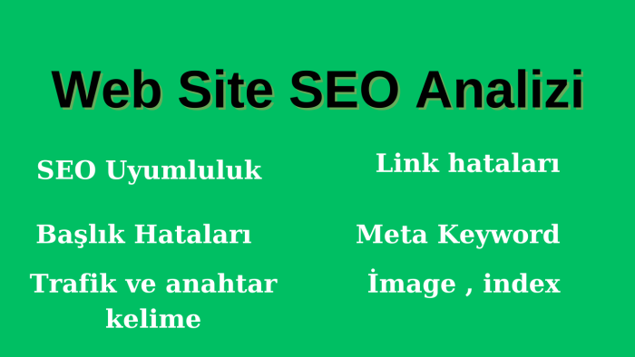 Web sitelerinizin SEO analiz ve raporlamalırını yapabilirim