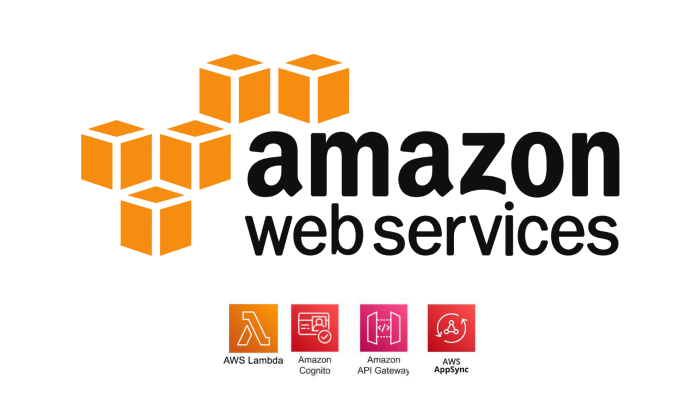  AWS (Amazon Web Services) üzerinde apilerinizi yazabilirim