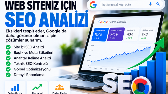 web sitenizin SEO analizini yapar ve hataları bulurum