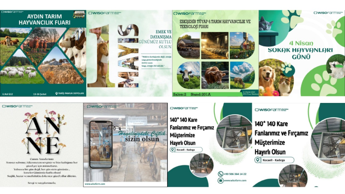 hedef kitlenize uygun satış ve dönüşüm bannerları tasarlarım