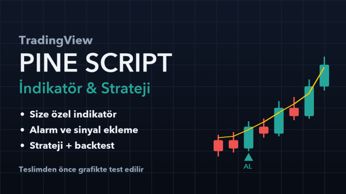 TradingView için Pine Script indikatör ve strateji yazarım