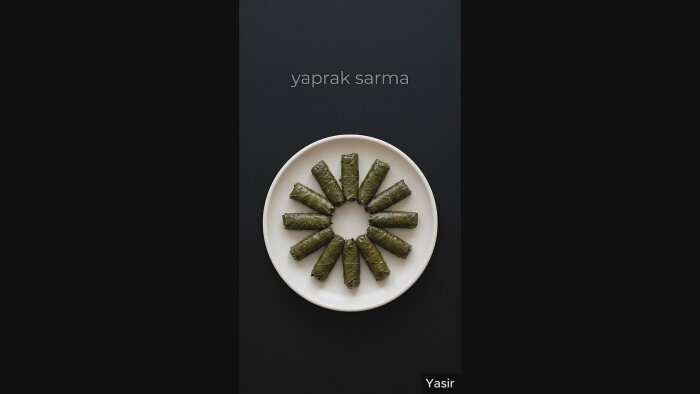 reklam filmi yapabilirim