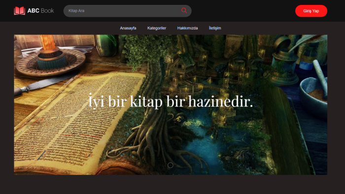 admin panelli web sitesi yapabilirim