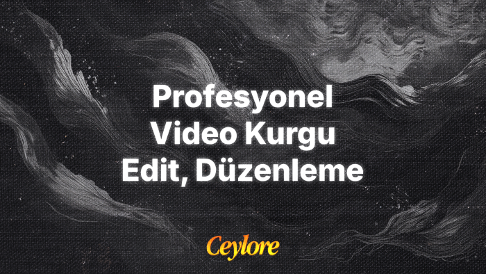 istediğiniz videoyu profesyonel olarak düzenleyebilirim