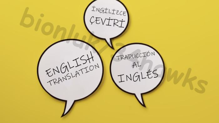 İspanyolca, İngilizce ve Türkçe metinlerinizi çevirebilirim