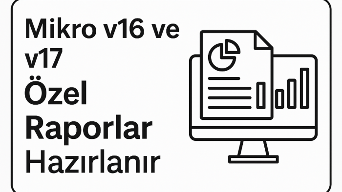 Mikro v16 ve Mikro v17 için özel rapor hazırlayabilirim