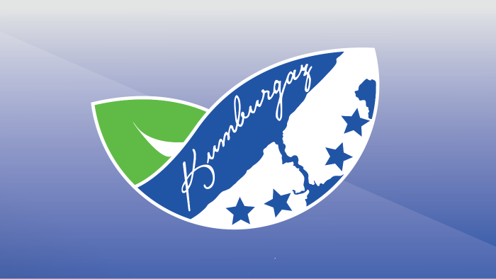 zihninizdeki eşsiz logoyu size vermek için buradayım