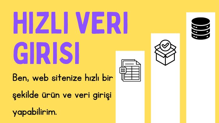 web sitenize hızlı bir şekilde ürün girişi yapabilirim