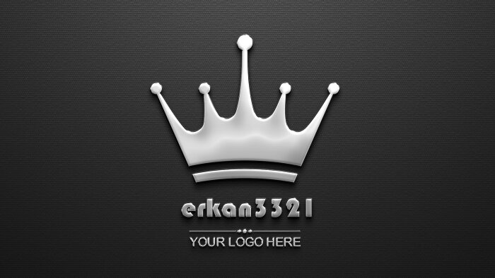 hayalinizdeki logo tasarımlarını yapabilirim