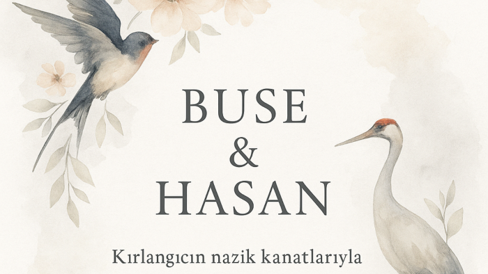 özgün davetiye tasarımları yaparım