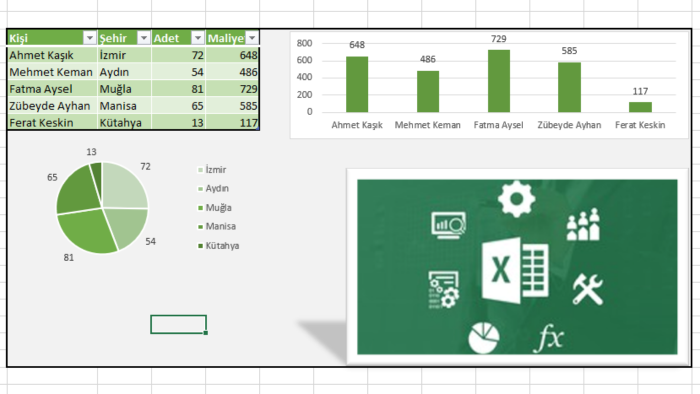 profesyonel Excel veri girişi ve raporlama yaparım