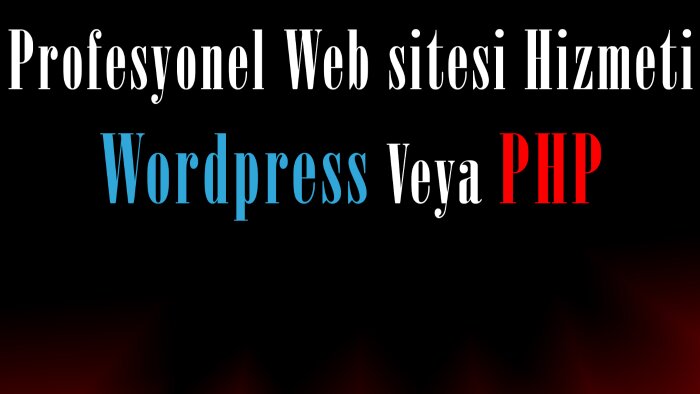 mükemmel web sitenizi yapabilirim