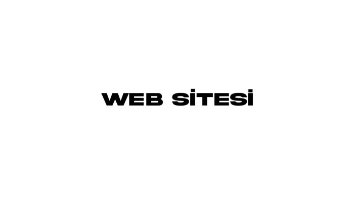 wordpress sitesi yaparım