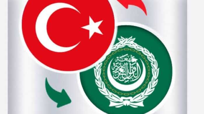 Arapça Türkçe çeviriler yapıyorum