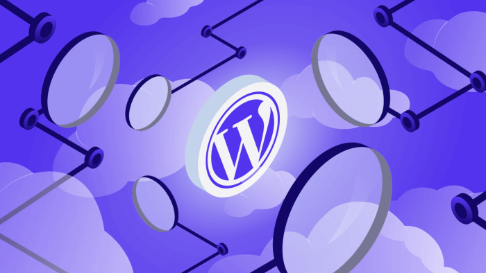 wordpress kurulumu yaparım