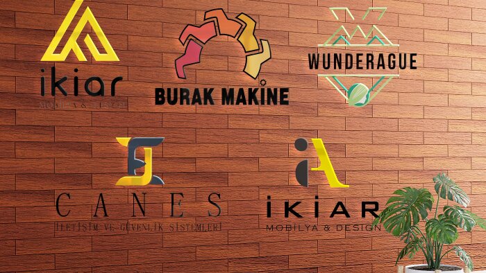 sizin için kurumsal, minimalist logo tasarımı yapabilirim