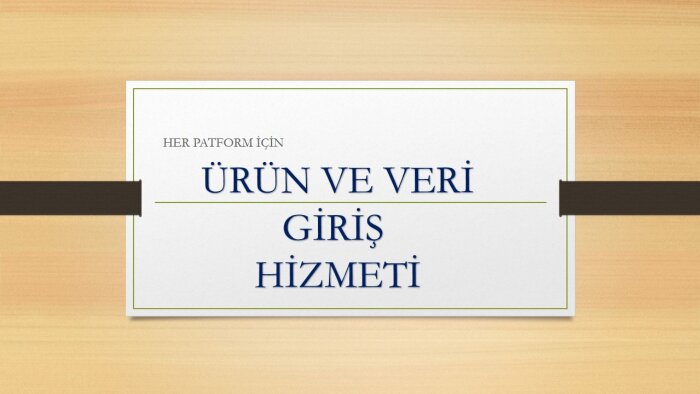 veri girişini titizlikle yaparım