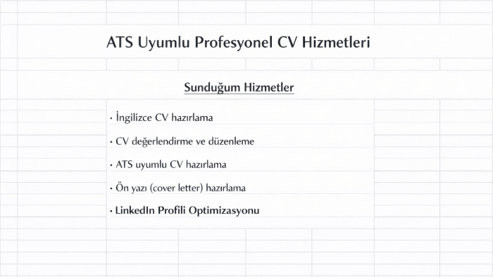 profesyonel cv hazırlıyorum