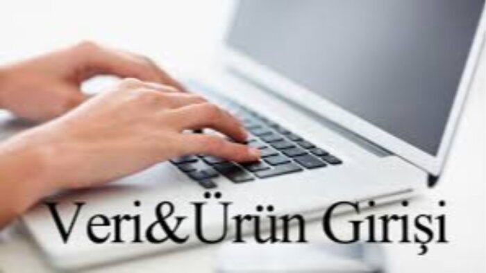 ürün ve veri girişi hizmeti veriyorum