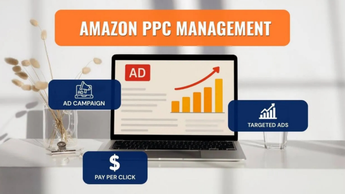 amazon ppc reklamlarınızı profesyonel şekilde yönetirim