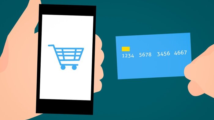 Paytr İyzico sanal pos entegrasyonu yapabilirim