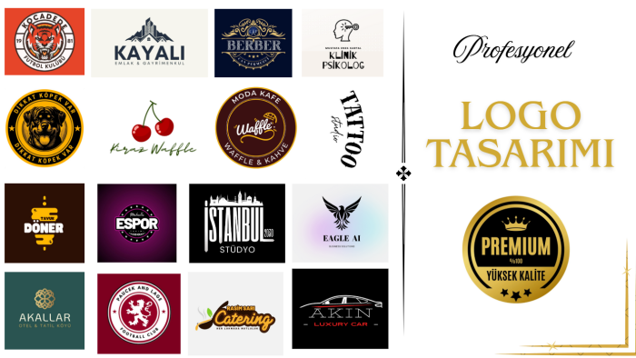 logo tasarımı yaparım