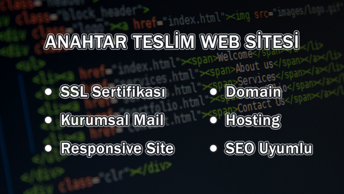  profesyonel anahtar teslim web sitesi hizmeti sunuyorum