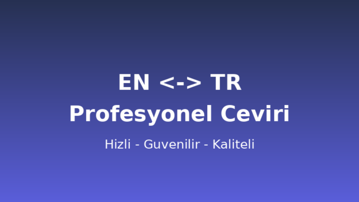 İngilizce-Türkçe profesyonel çeviri yapıyorum